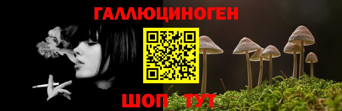 Набережные Челны  Псилоцибиновые грибы прущие грибы  Вход с VPN 